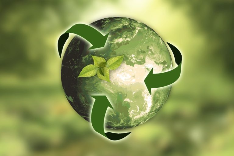 Top Tips in Sustainable Living for the Environment